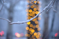 без име ( ID=2575216 ); Няма коментари