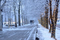 no name ( ID=2575217 ); comments:2