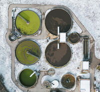 Кръгчетата; Коментари:1