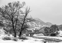 no name ( ID=2575230 ); comments:2