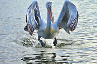 no name ( ID=2575233 ); comments:5