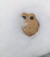 Той казва, че лято ще дойде!; No comments