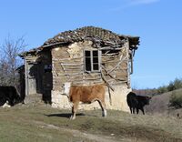 Природа; comments:1