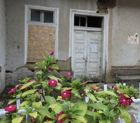 no name ( ID=2575261 ); comments:2