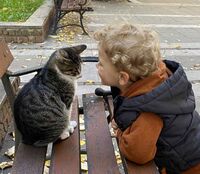 Разговор; comments:4