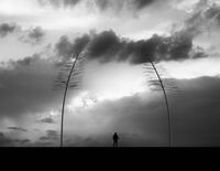 Владетел на илюзии; comments:22