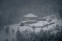 no name ( ID=2575284 ); comments:14