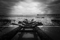 без име ( ID=2575295 ); Коментари:11