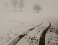 Into The Nothingness; comments:1