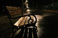 Вечерни щрихи; Няма коментари