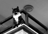 Поглед навън..; Коментари:4