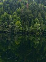 без име ( ID=2575361 ); Няма коментари