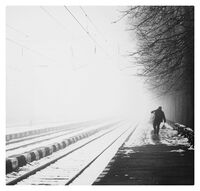 без име ( ID=2575369 ); Коментари:5