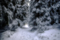 no name ( ID=2575415 ); comments:1