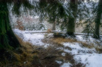 no name ( ID=2575417 ); comments:3