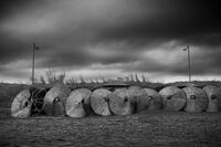 без име ( ID=2575420 ); Коментари:4