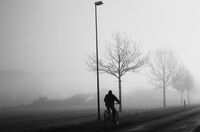 Попътно...; comments:19