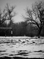 На сто години път път от рая; comments:6