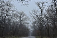 no name ( ID=2575454 ); comments:1