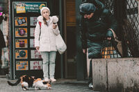 За добрите намерения; comments:4