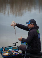 На слука; Коментари:1