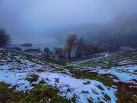 no name ( ID=2575482 ); comments:2