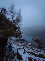 без име ( ID=2575483 ); Няма коментари