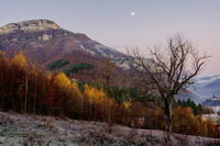 no name ( ID=2575497 ); comments:1