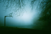 no name ( ID=2575503 ); comments:3