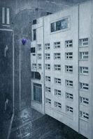 no name ( ID=2575575 ); comments:15