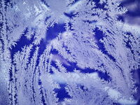 Буря; Коментари:16