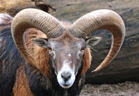 no name ( ID=2575616 ); comments:2