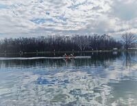 Симетрия; comments:4