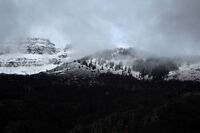 no name ( ID=2575635 ); comments:3