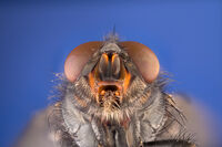 no name ( ID=2575639 ); comments:5