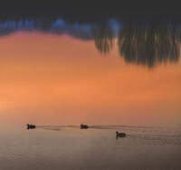 Отражения; comments:8