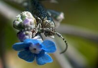 Най-после към целта..; comments:3