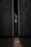 Любопитство; comments:2