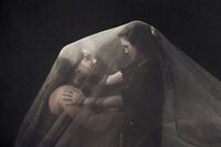 no name ( ID=2575708 ); comments:6