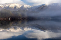 Поредното Душанско утро; comments:5