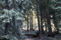 no name ( ID=2575727 ); comments:2