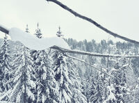 let it snow; comments:1