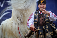 Джамала 2026 - Кюстендил; Коментари:20