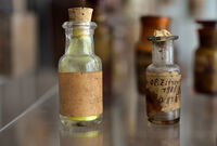 В света на розовото масло; Коментари:1