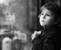 Доверие; Коментари:8