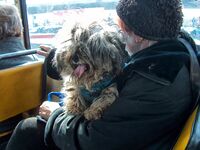 С кучето  в студа..; comments:1