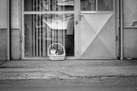 no name ( ID=2575833 ); comments:6