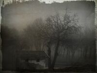 no name ( ID=2575836 ); comments:2