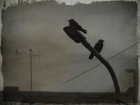 no name ( ID=2575837 ); comments:7