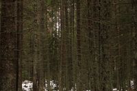 no name ( ID=2575844 ); No comments